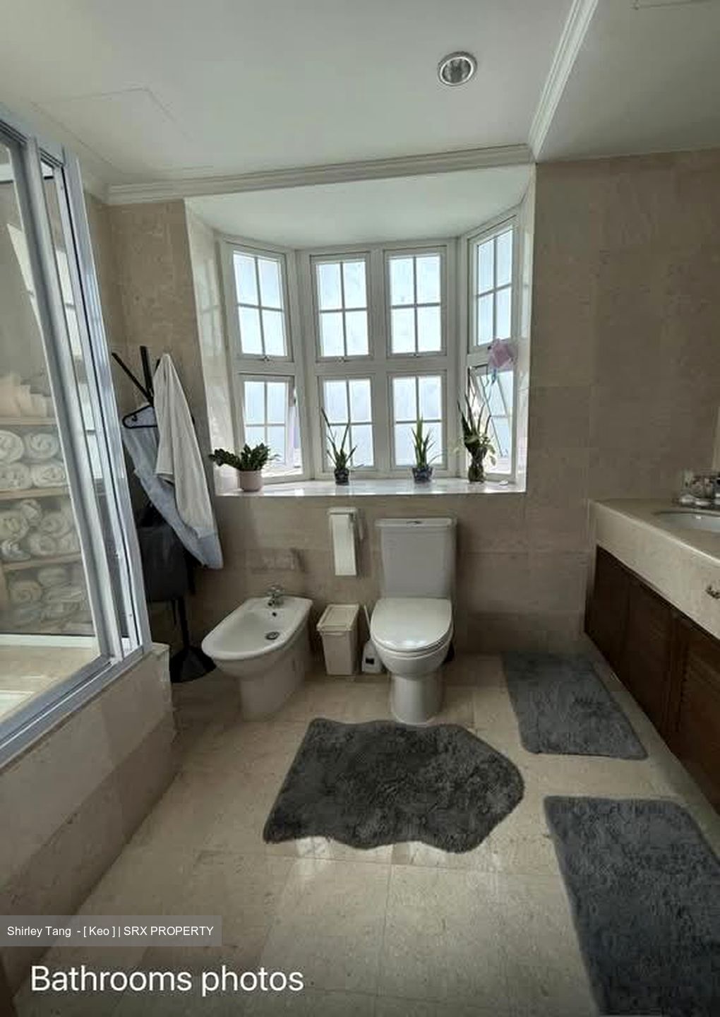 Braddell Heights Estate (D13), Detached #527842101